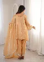 Premium-Fendy-Fabric-Real-Mirror-and-Coding-Embroidered-Kurti,-Pant,-and-Dupatta-3-Piece-Set-Peach4.webp