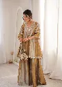 Premium-Two-Tone-Tissue-Short-Kurti-with-Bell-Sleeves,-Matching-Trousers,-and-Embroidered-Mirror-Work-Batwa-3-Piece-Luxury-Festive-Set3.webp